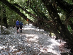 Walking a sandy corridor