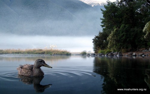 Dawn at Coldwater hut