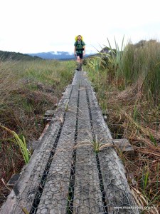 Boardwalks make travel over boggy terrain very easy