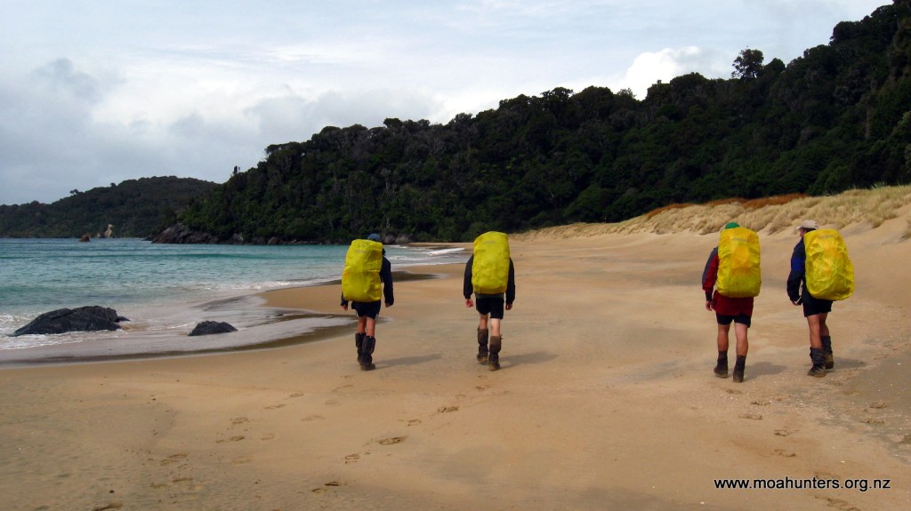 Clearing skies on Murray Beach