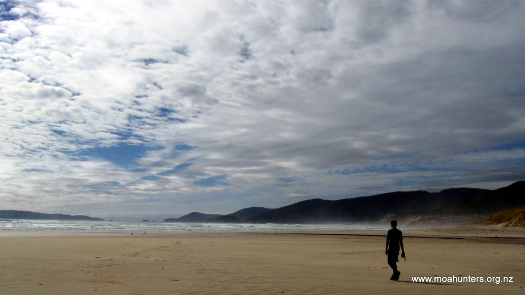 From the sky to the sand, everything is spectacular at Mason Bay