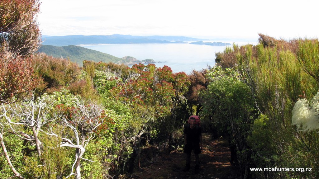 Looking south back towards Mason Bay