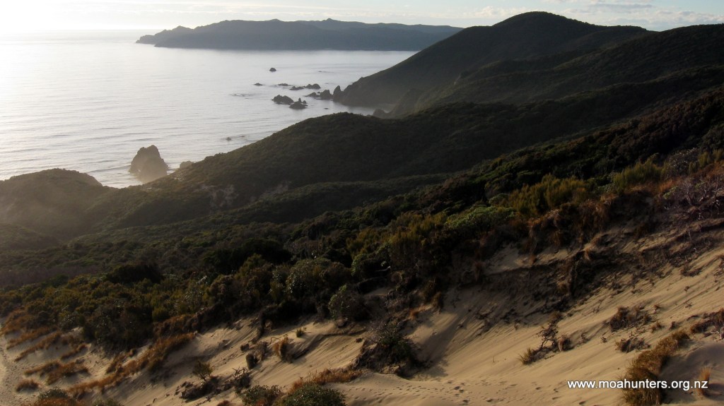 Looking north from Big Hellfire towards Codfish Island
