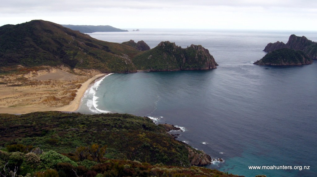 The view back to East Ruggedy beach