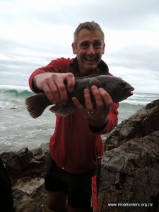 Fish caught! A wrass.