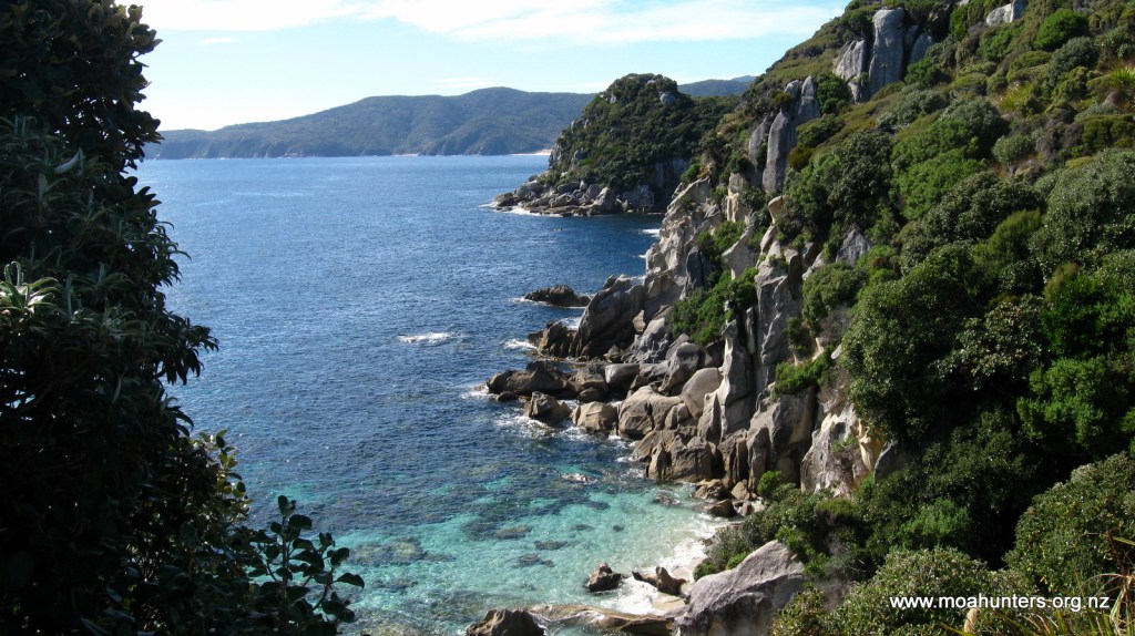 A stunning cove just east of Long Harry hut