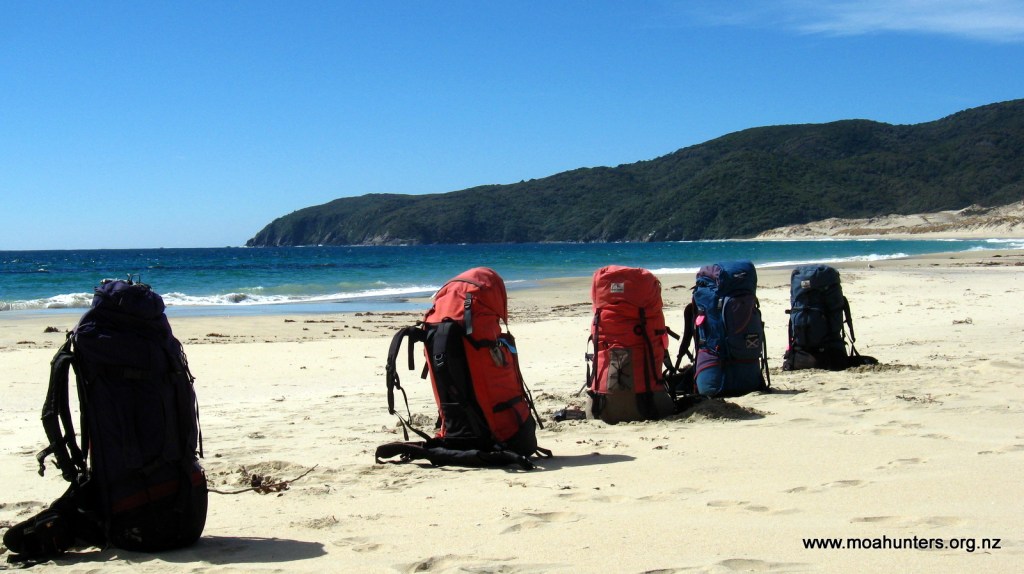 Backpacks sunning themselves on pristine Smokey beach