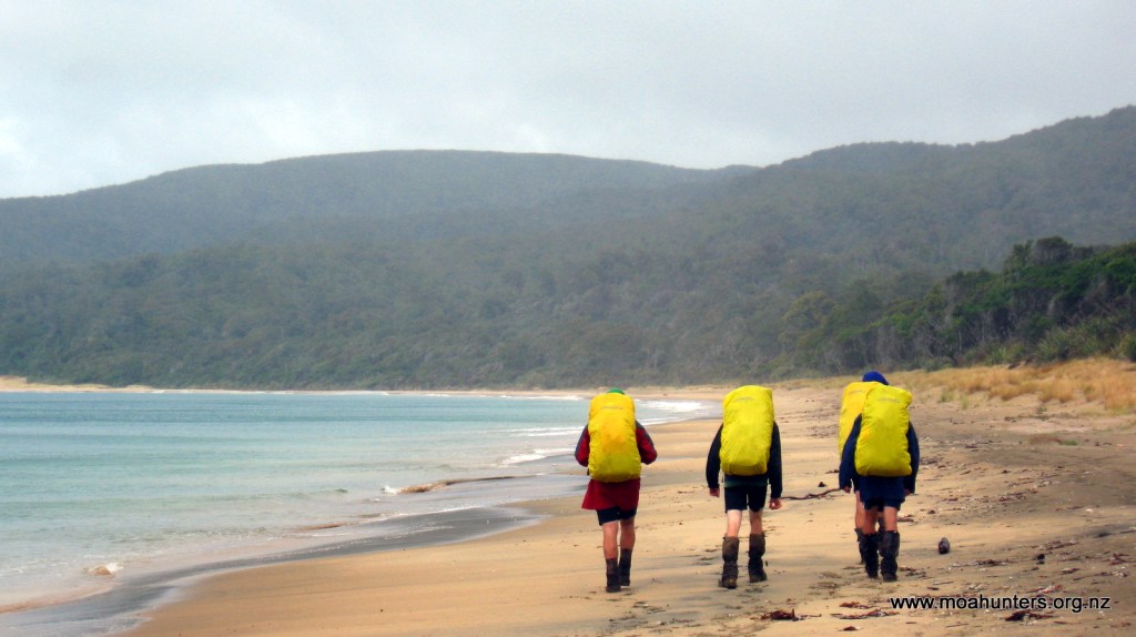 Murray beach, beautiful even in the rain...