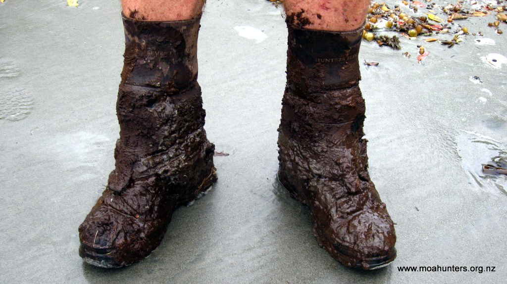 Mud, glorious Rakiura mud!