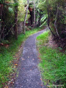 Boardwalks lead to Port William Hut