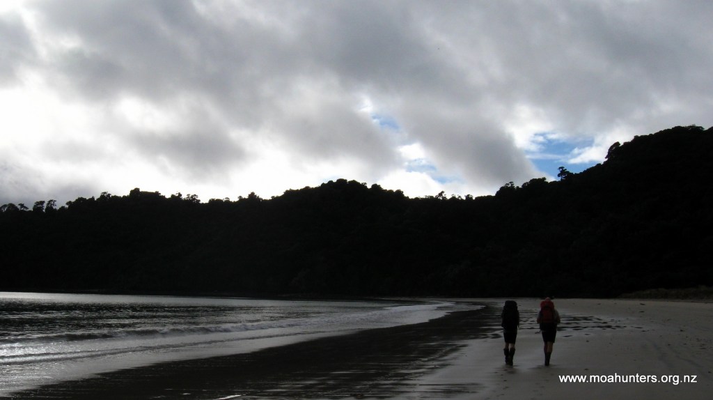 Dusky skies above Maori beach