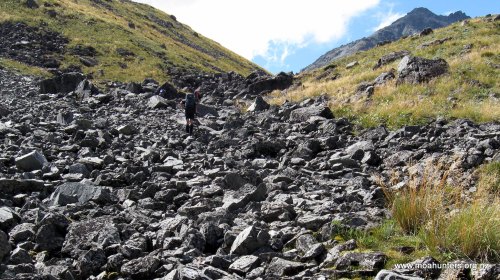 Barren and exposed landscape