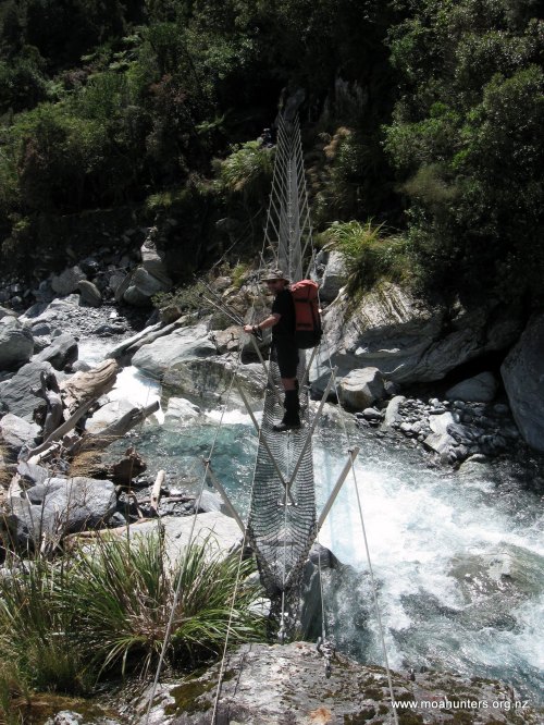 Magnus hovering above Vincent creek